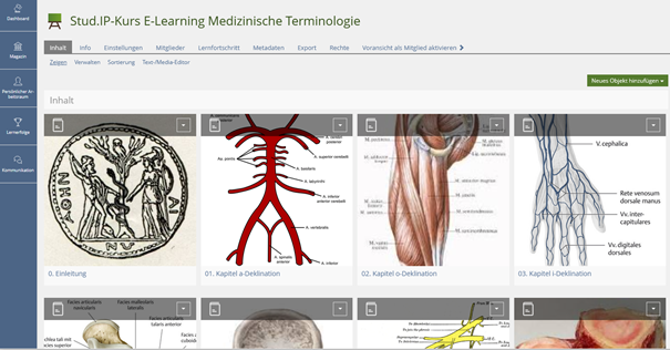 Medizinische Terminologie